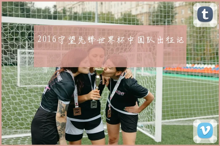 2016守望先锋世界杯中国队出征记